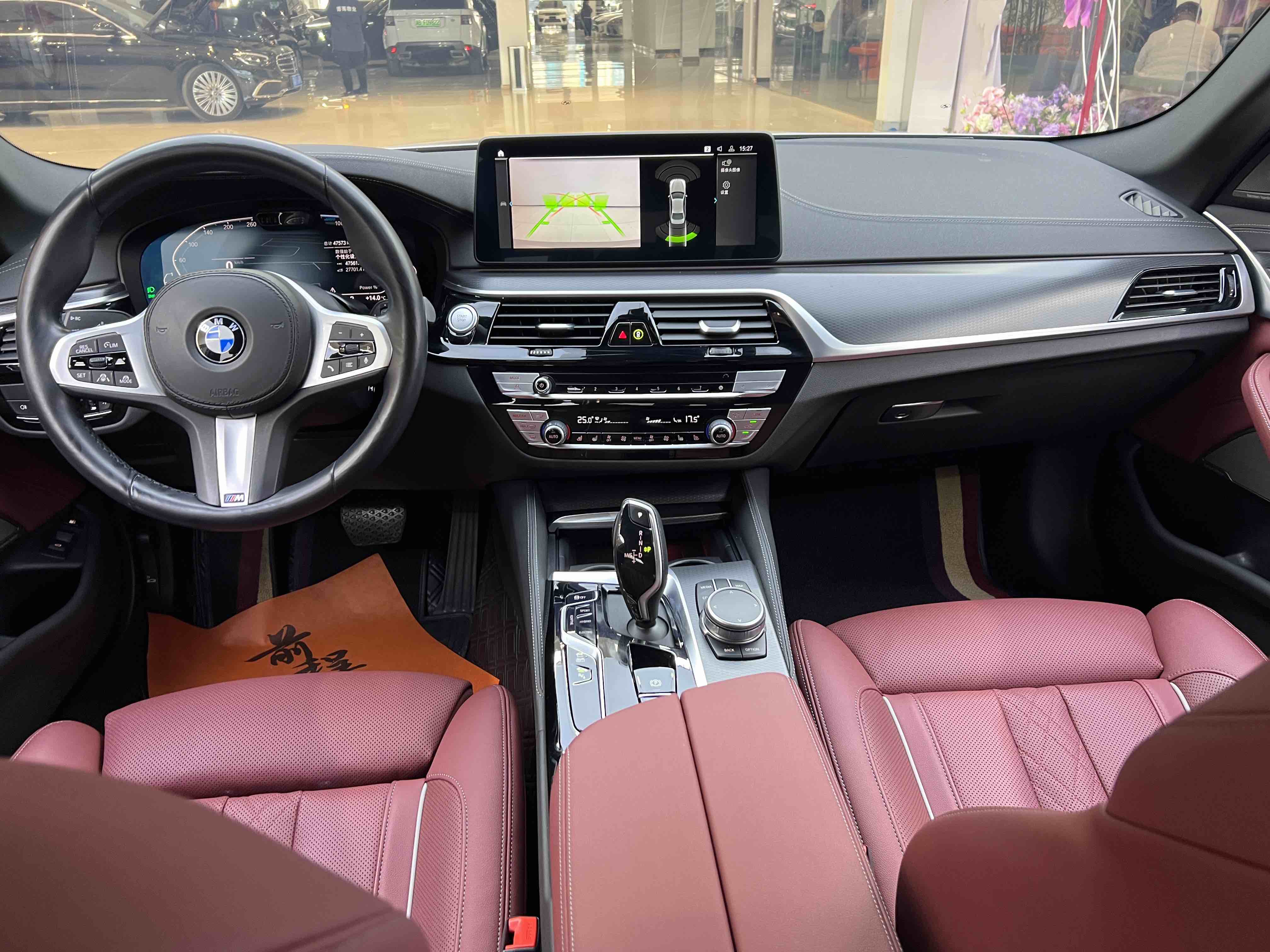 BMW 5 Series New Energy 2021 car image #20