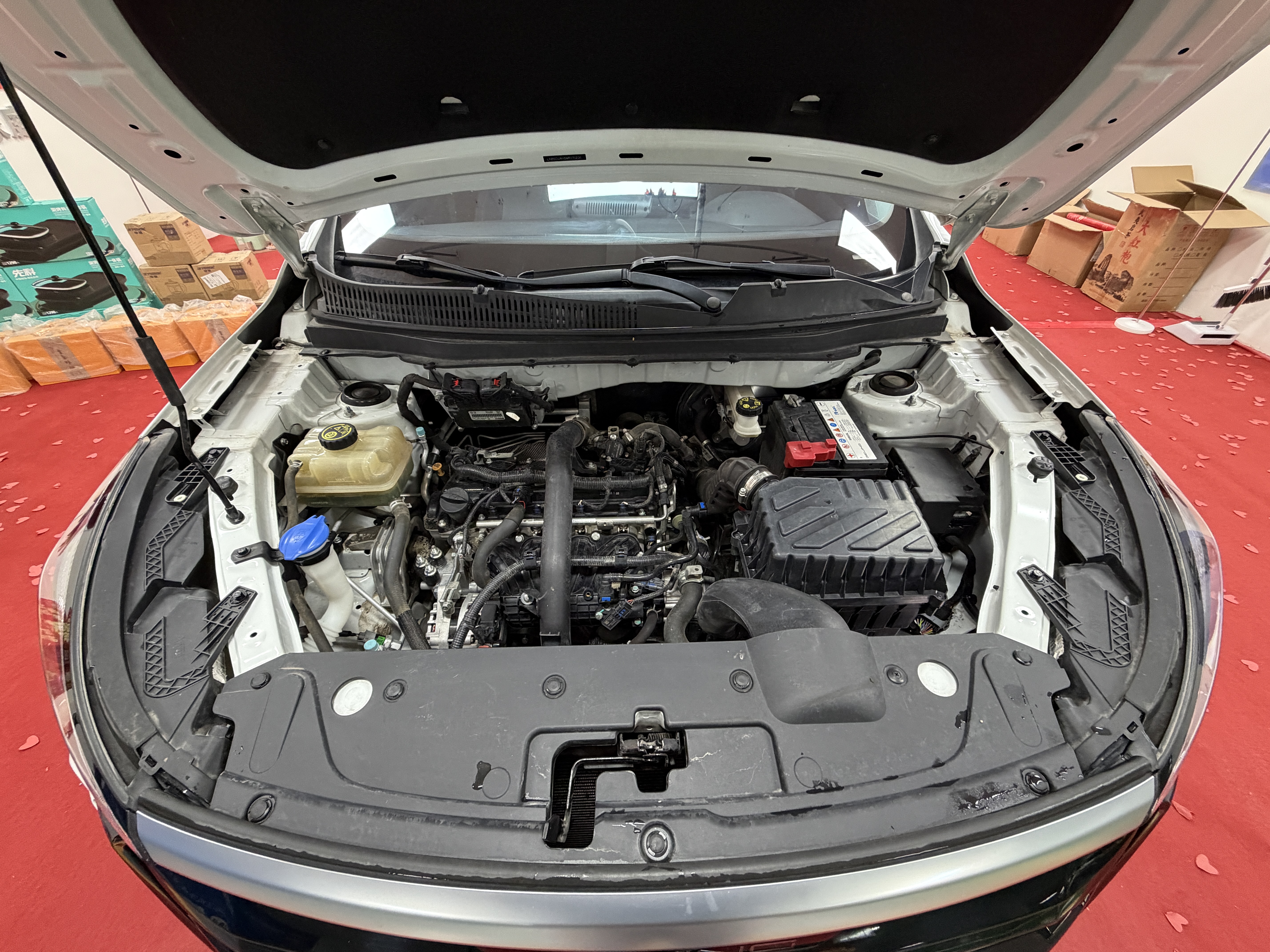 Beijing X3 2022 immagine di auto #20