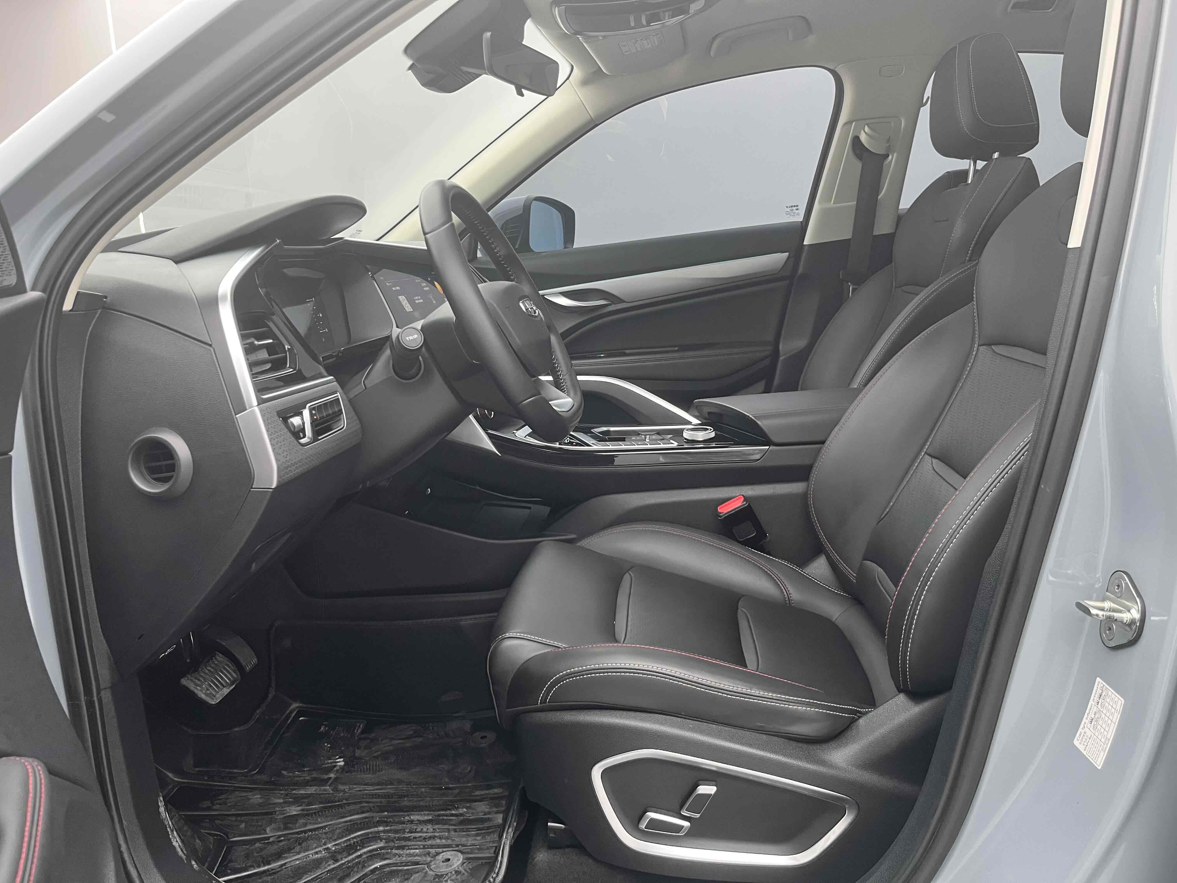 GEELY Tugella S 2021 car image #20