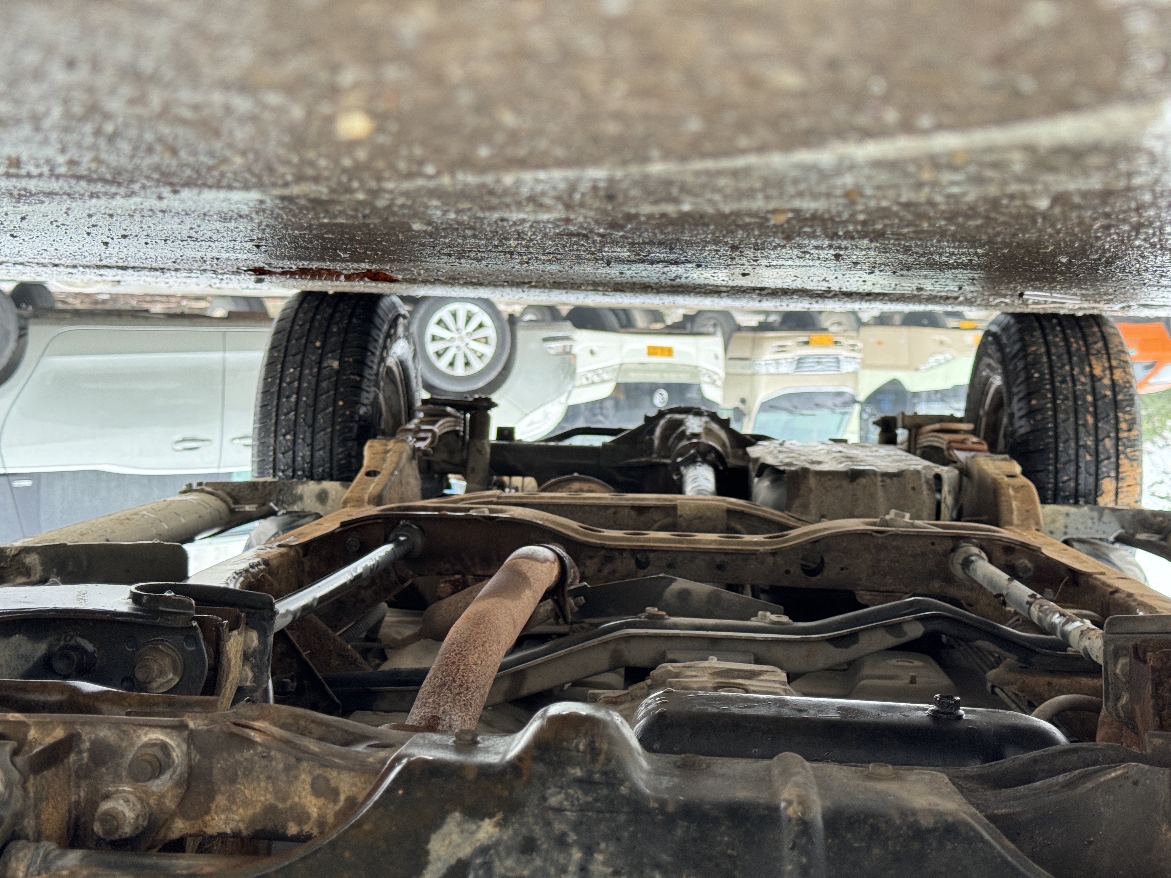 日产 日产帕拉丁 2010 汽车图片 #20