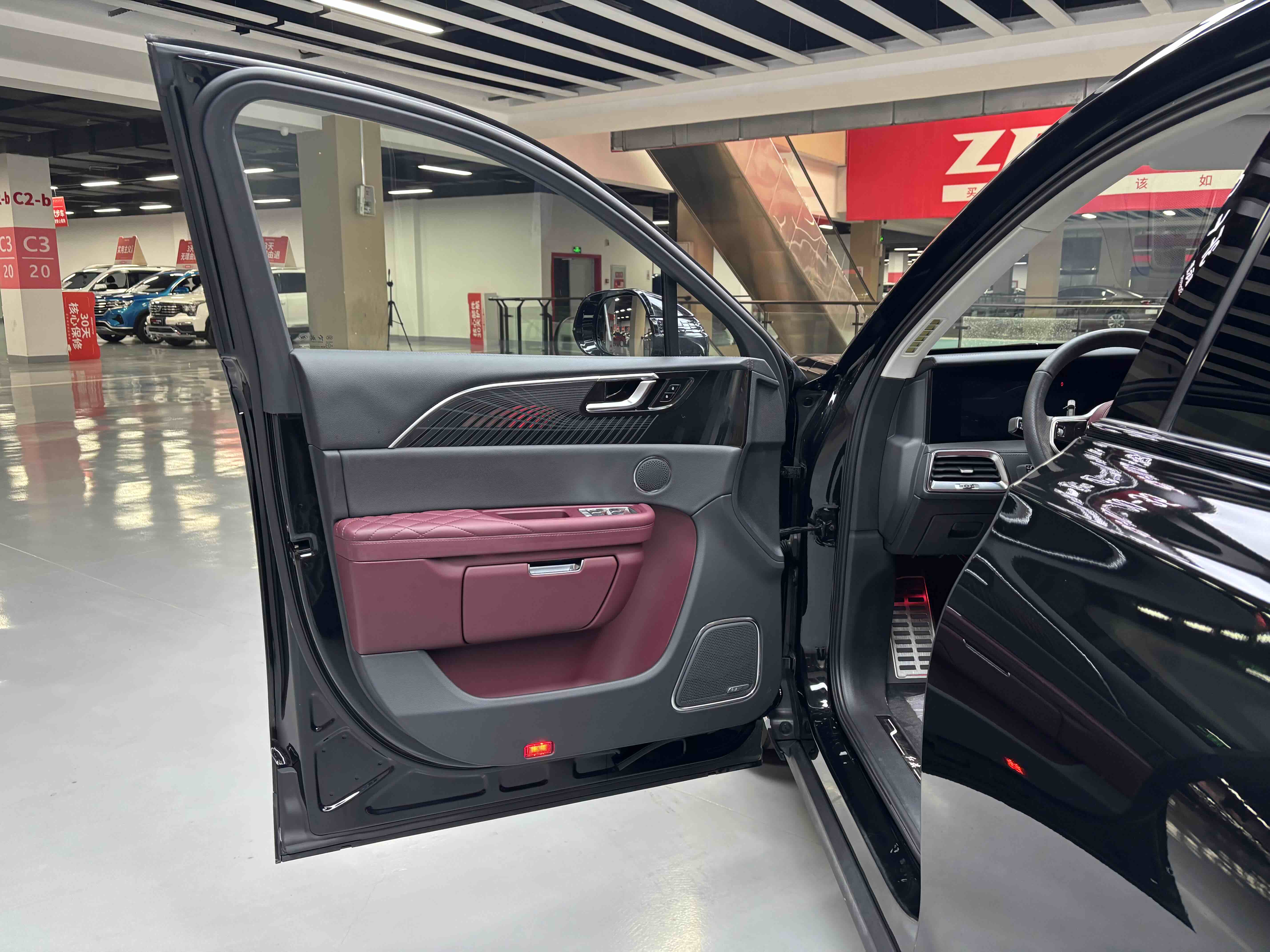 HongQi E-HS9 2023 imagem de carro #20