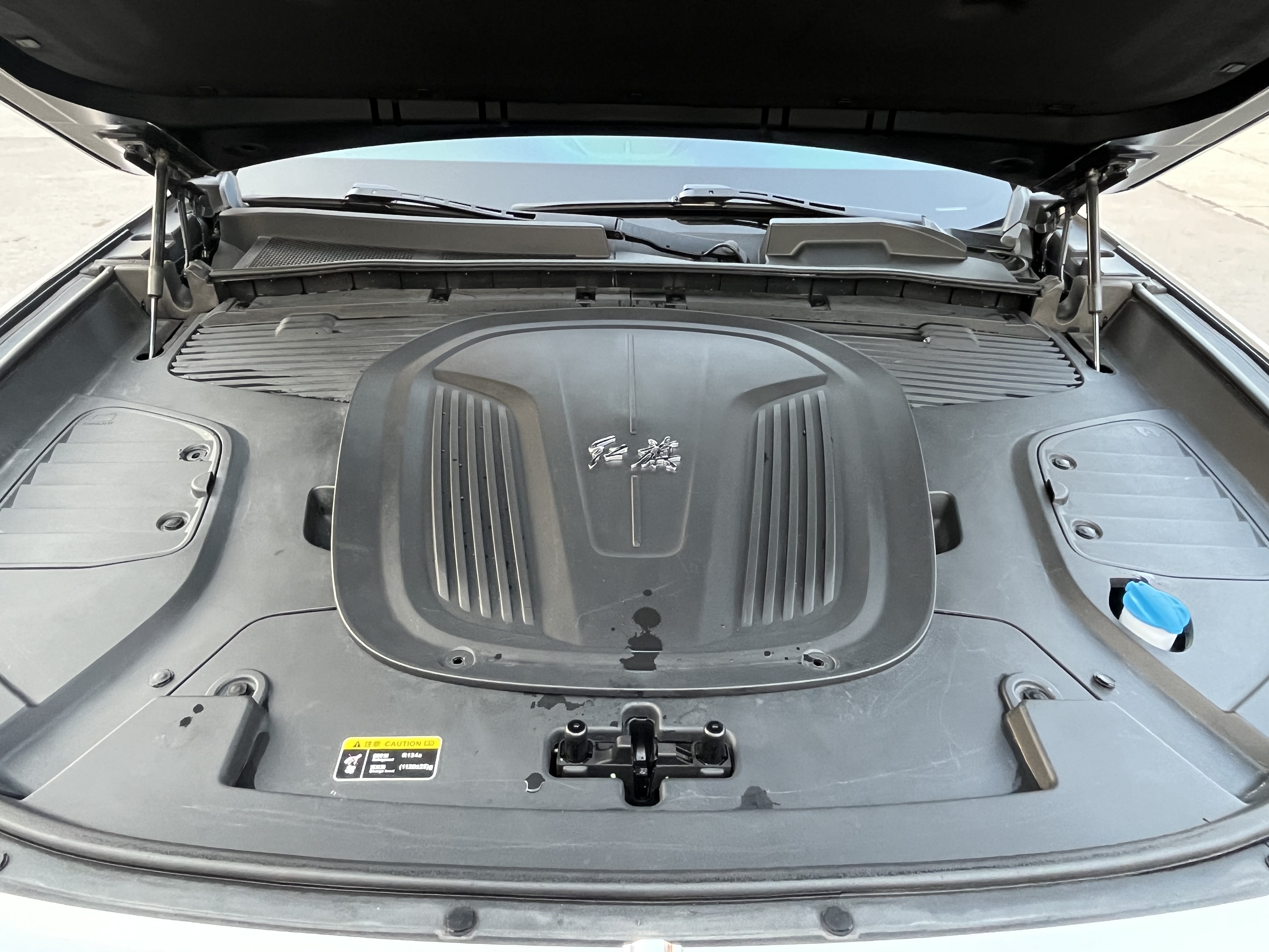 HongQi E-HS9 2023 car image #20