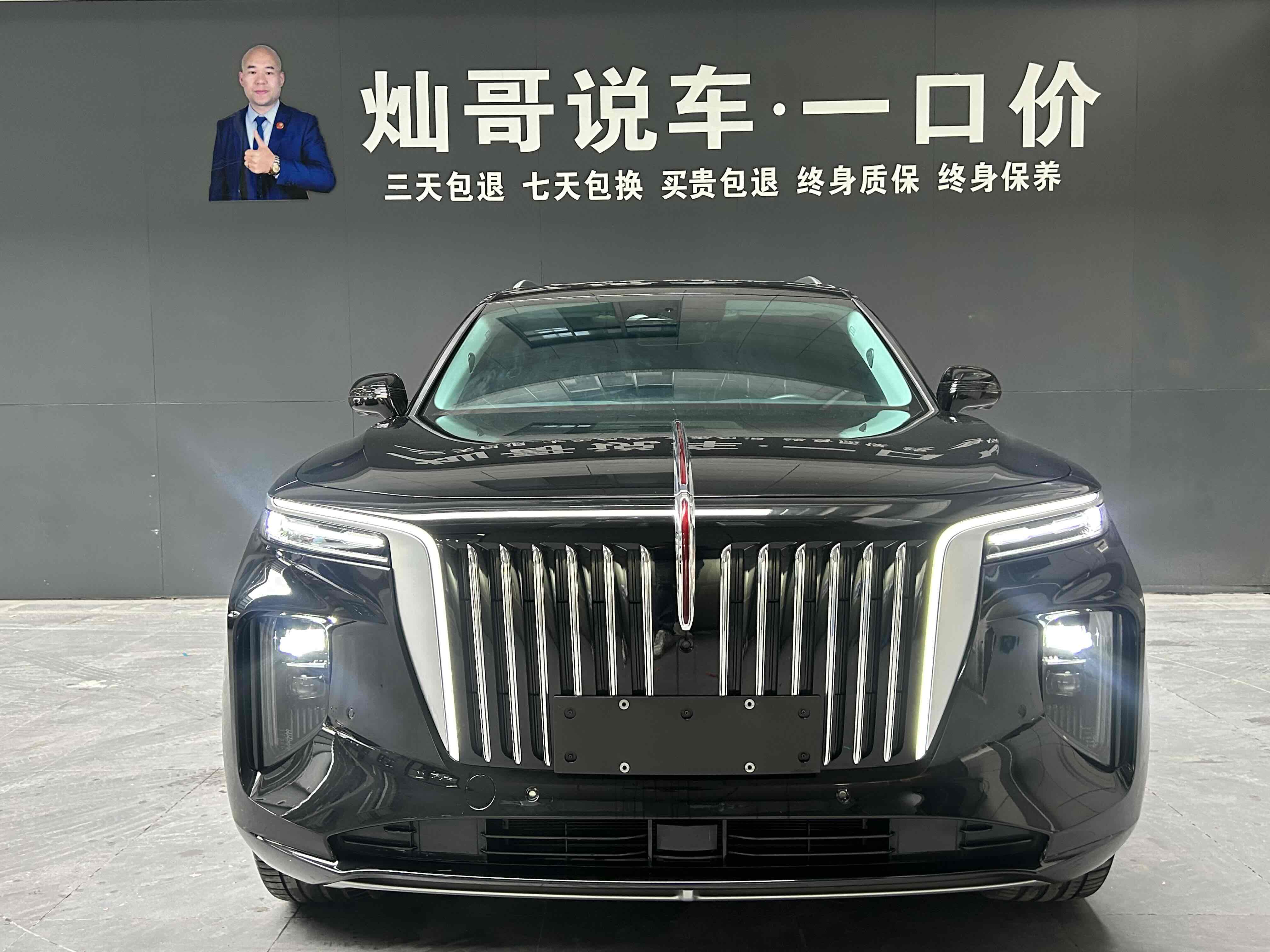 HongQi E-HS9 2022 immagine di auto #20