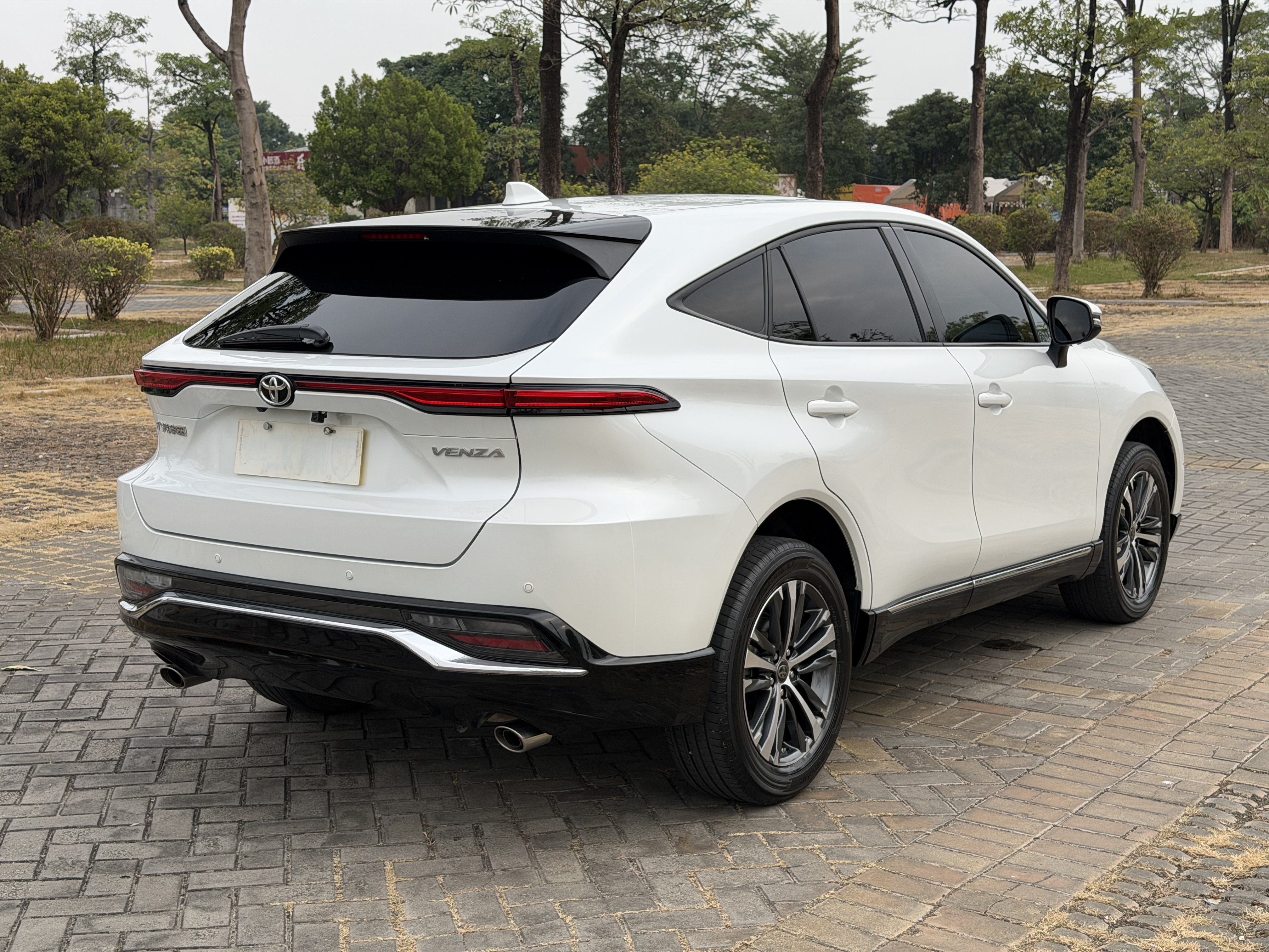 Toyota Venza 2023 immagine di auto #20