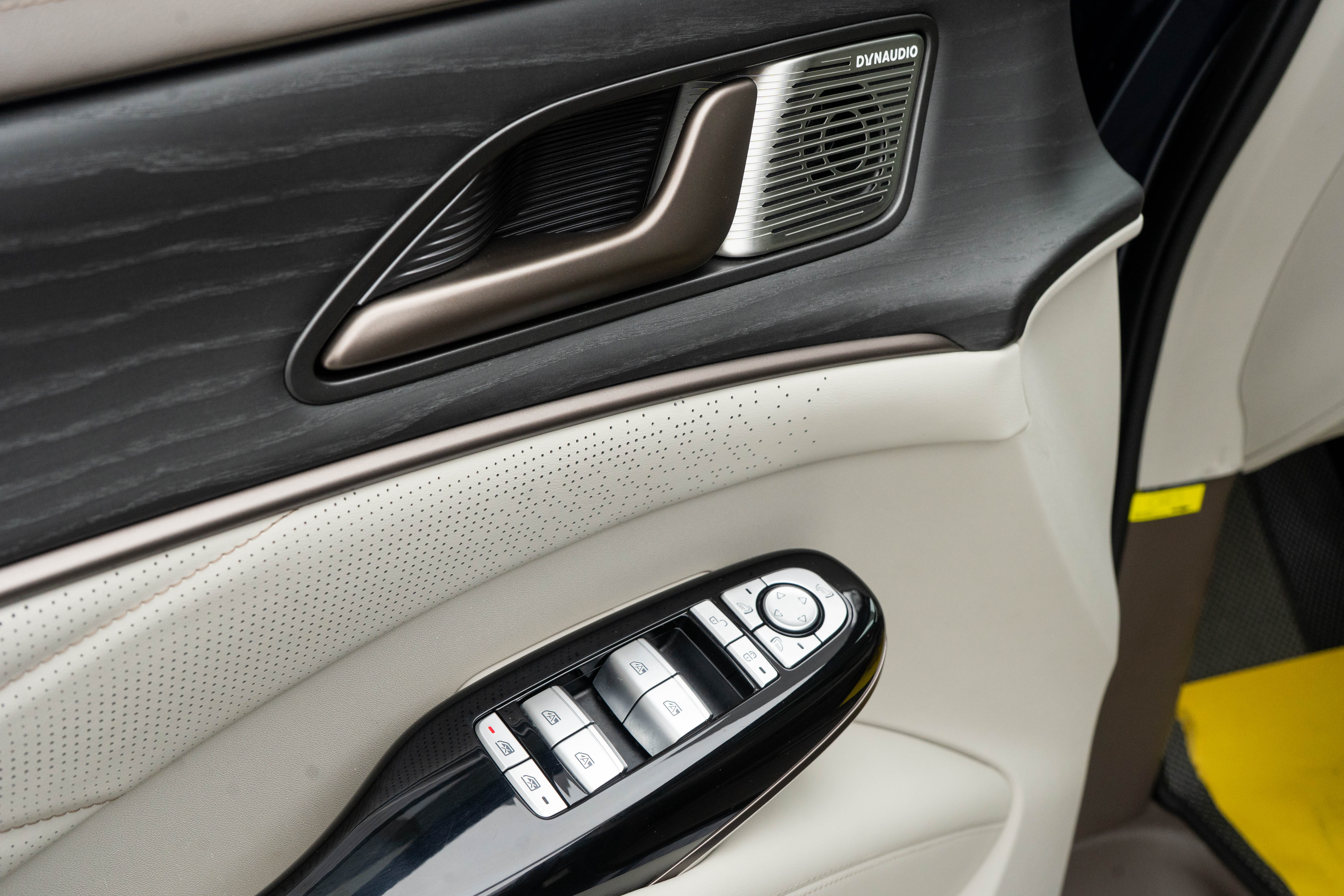 Denza D9 2023 immagine di auto #20