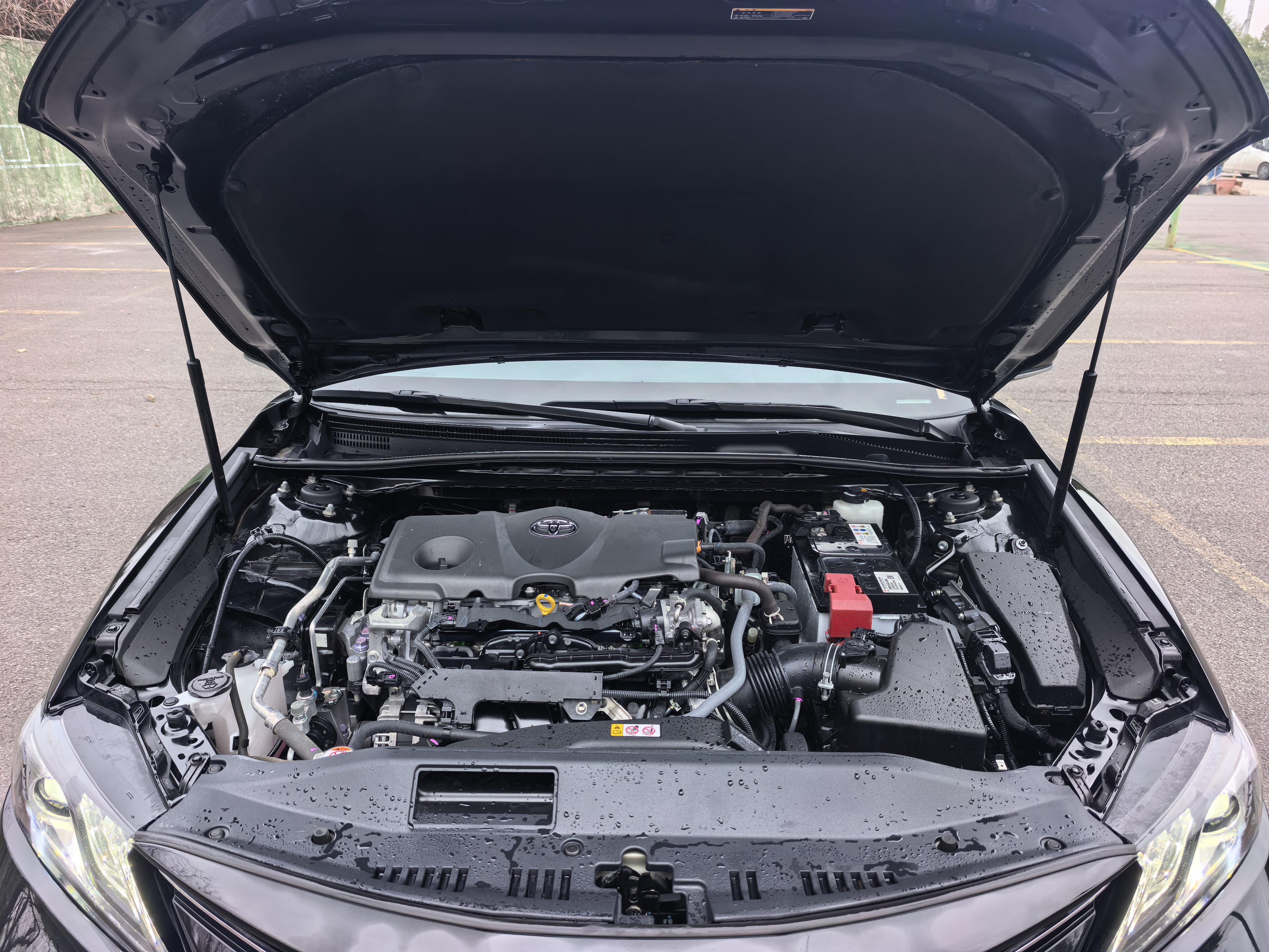 Toyota Camry 2024 #20 Toyota Camry 2024 immagine di auto #20