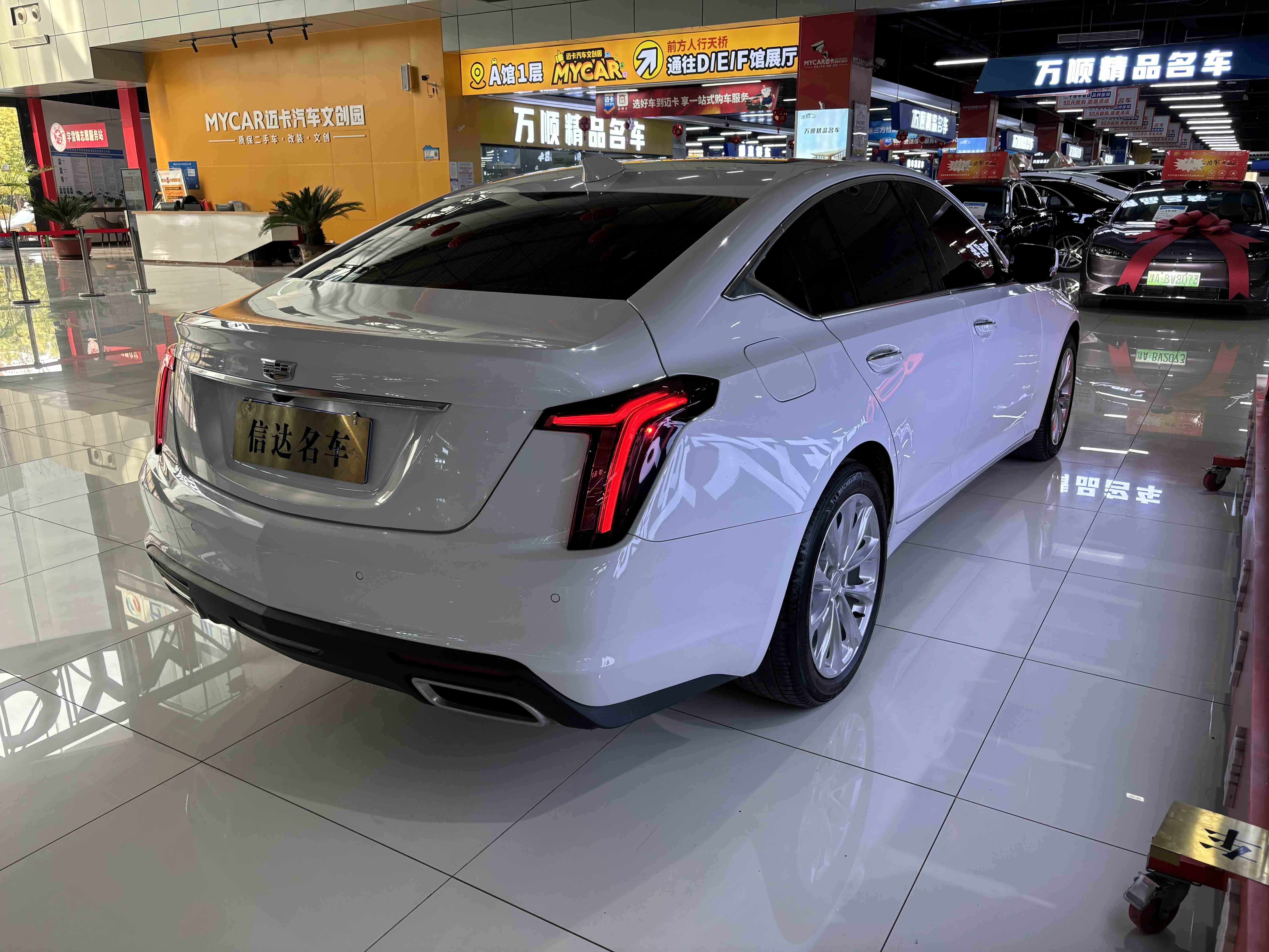 2023 #20 2023 car image #20