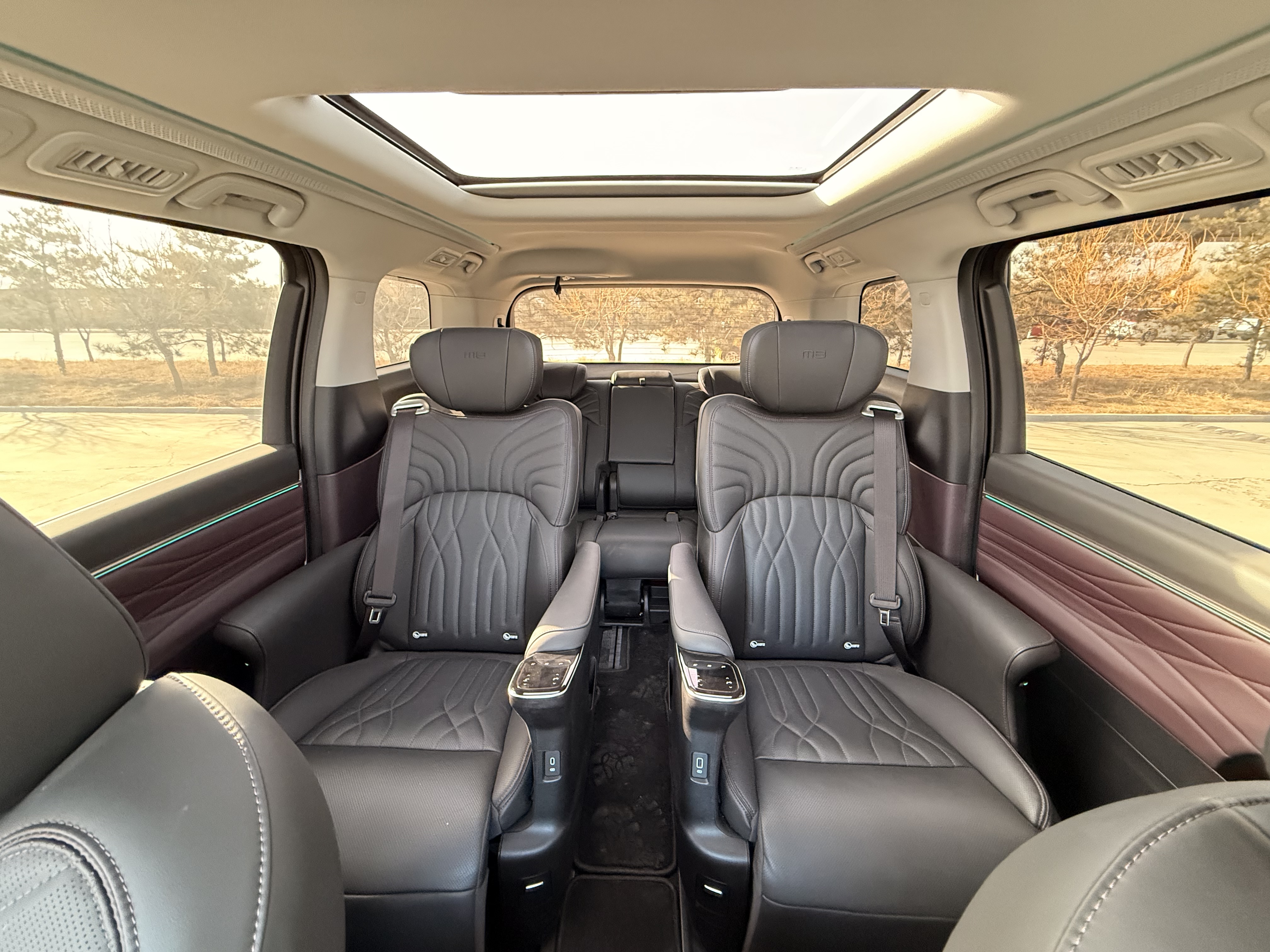 GAC Trumpchi M8 2024 car image #20