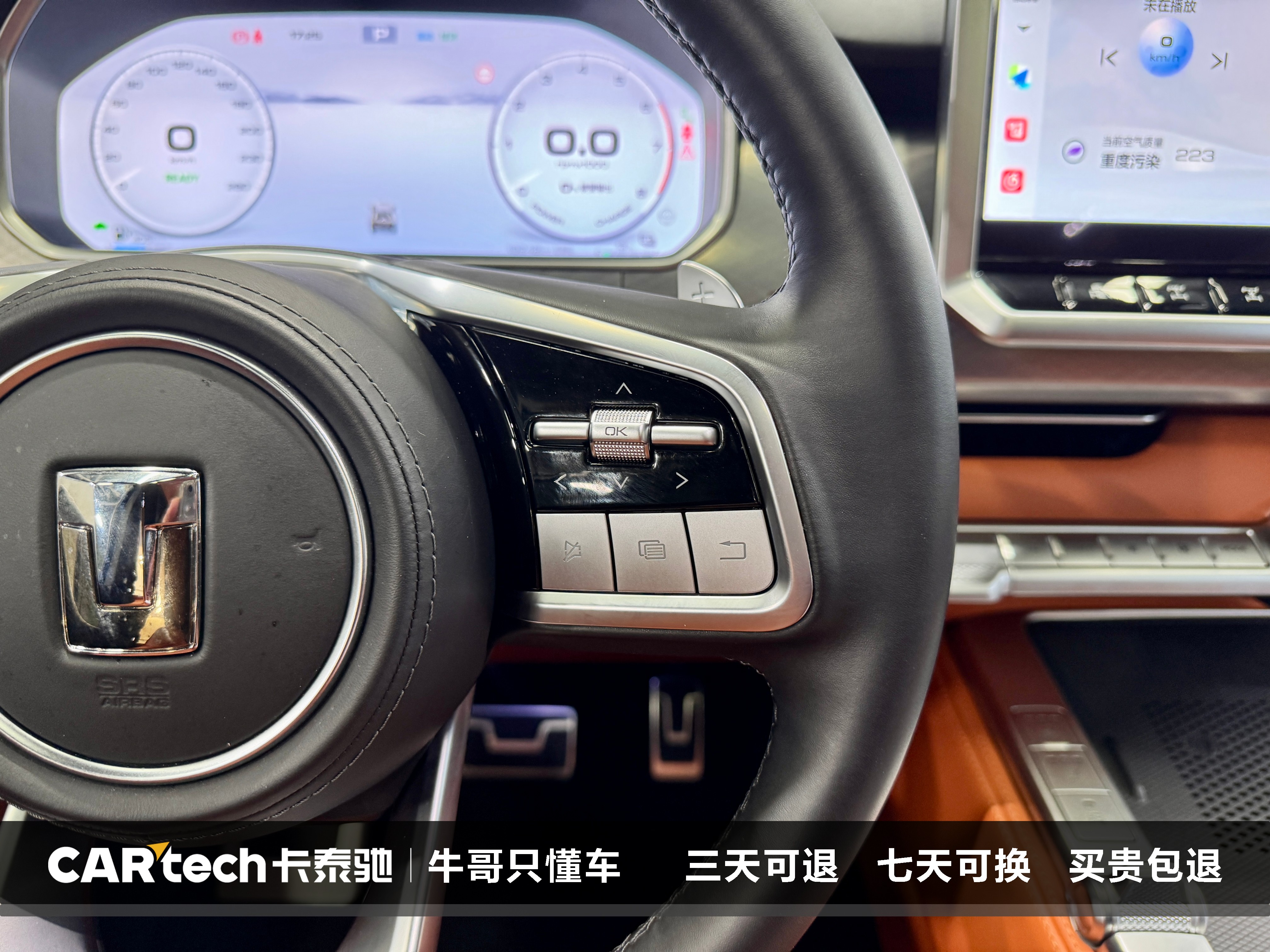 Tank 700 New Energy 2024 immagine di auto #20