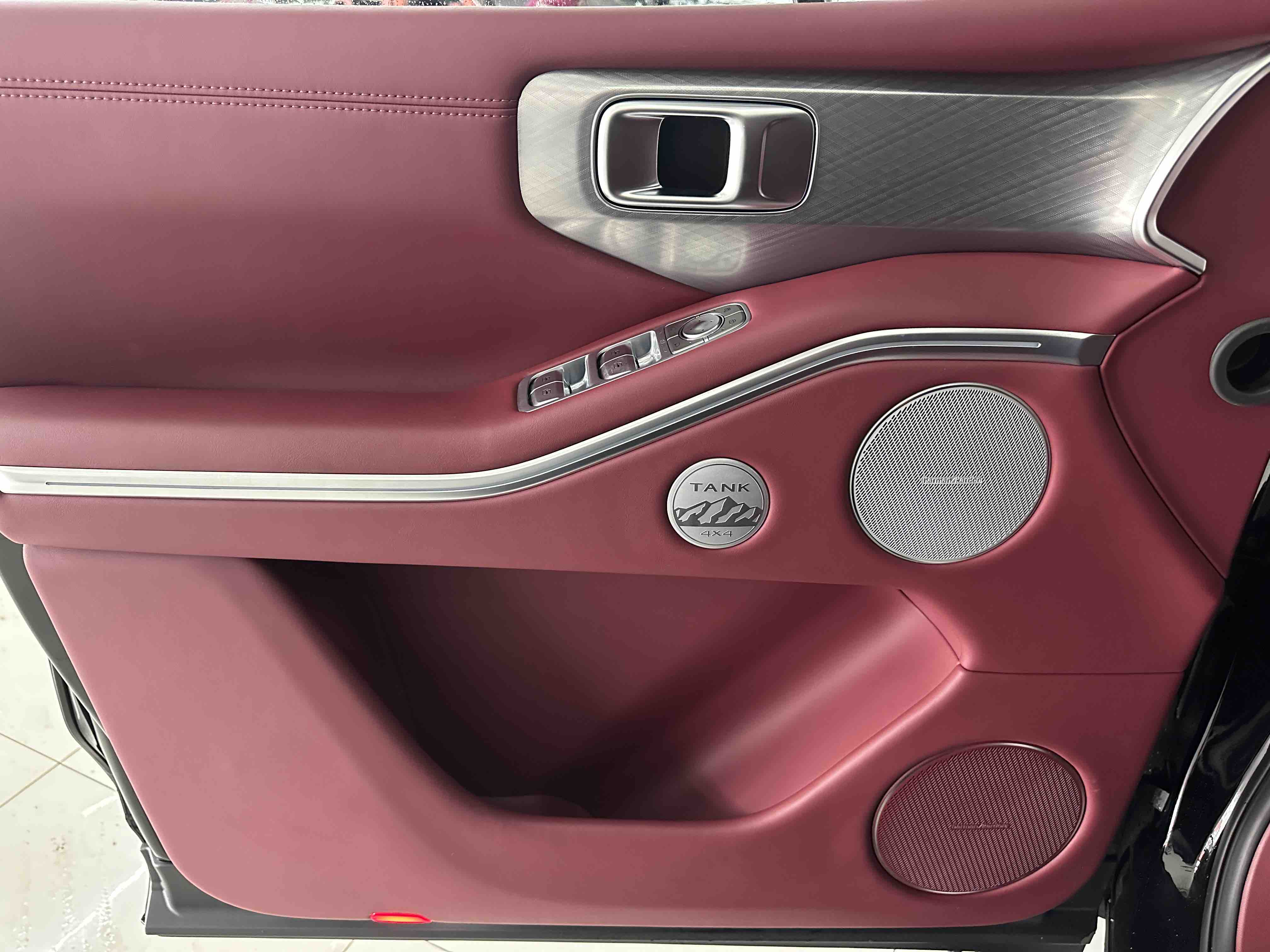 Tank 700 New Energy 2025 image de voiture #20