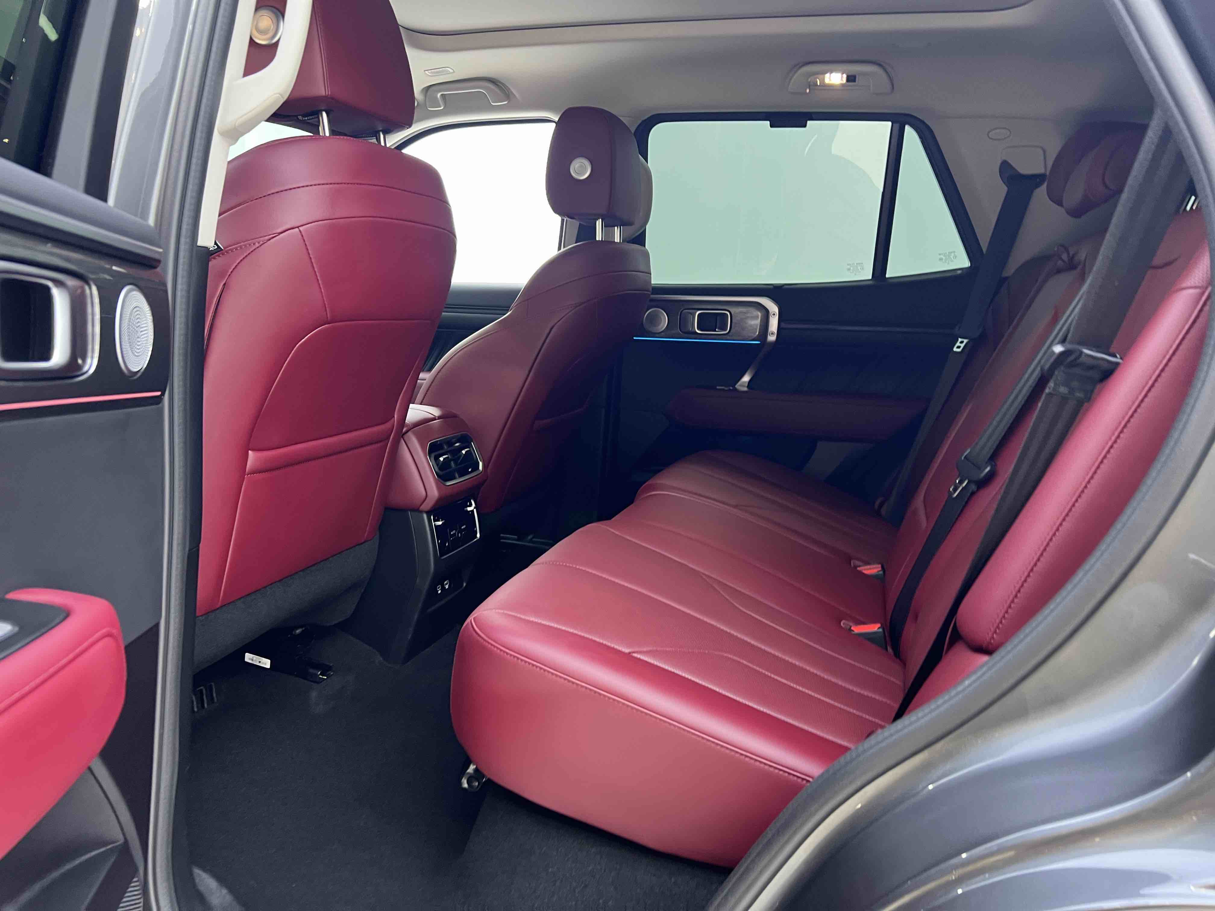 Tank 400 New Energy 2025 car image #20