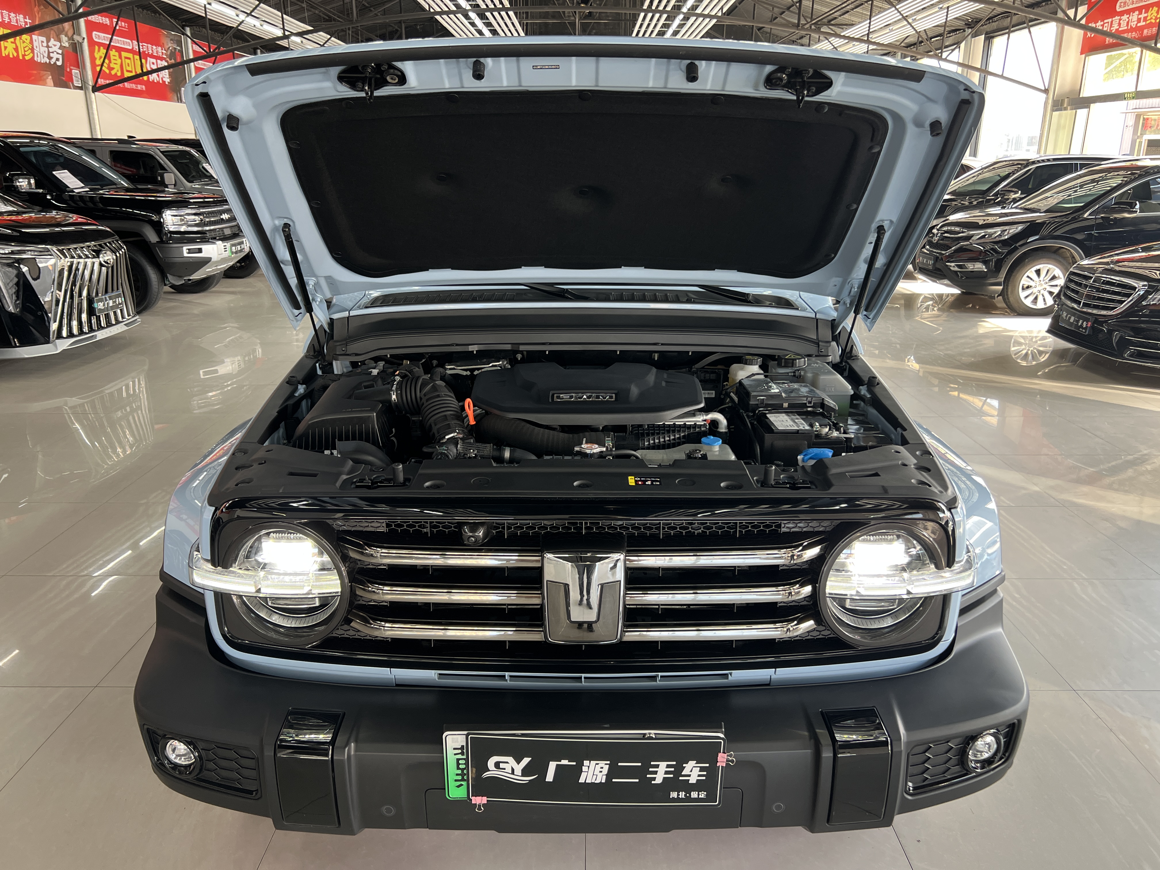 Tank 300 New Energy 2024 #20 Tank 300 New Energy 2024 immagine di auto #20