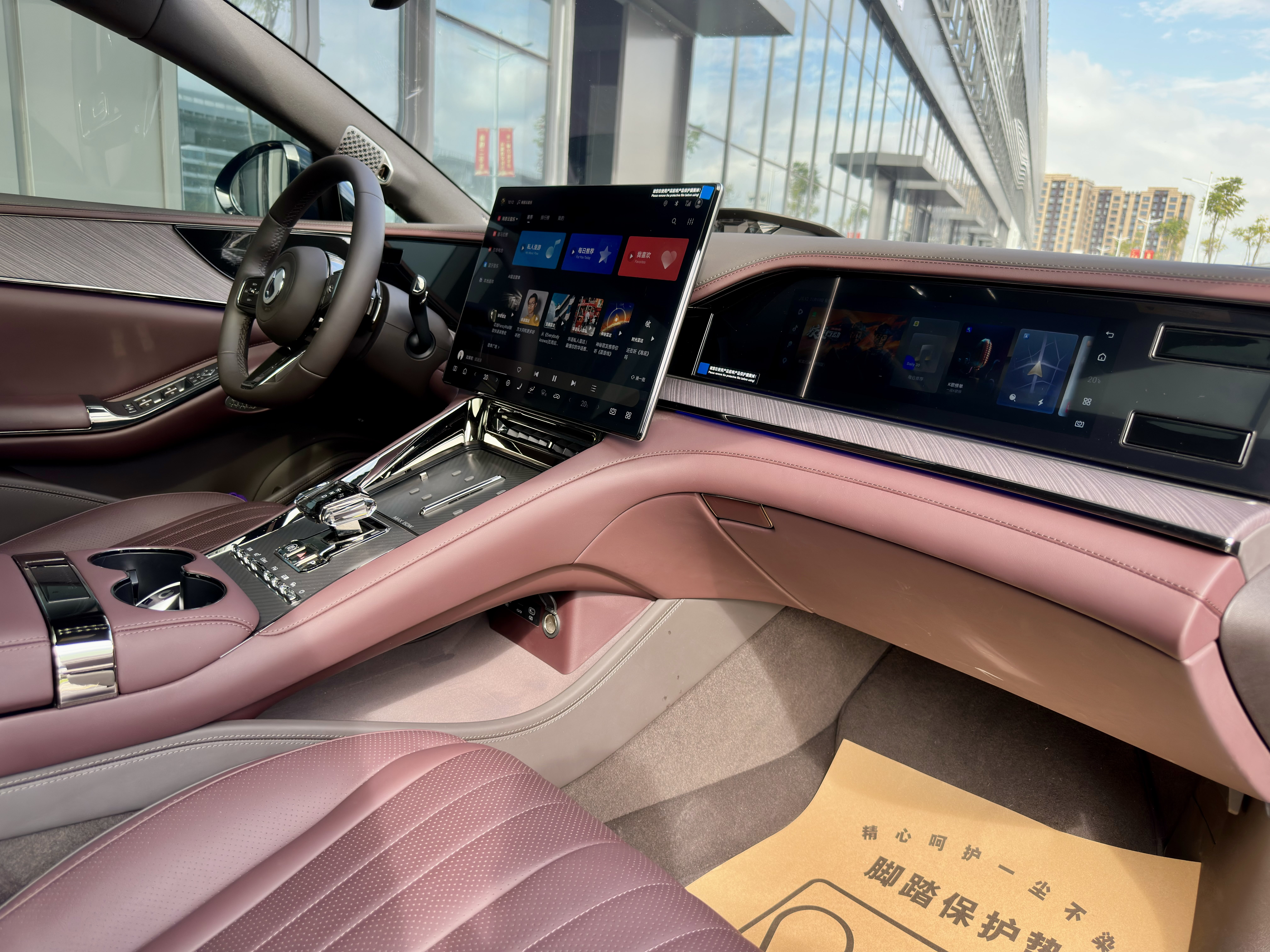 Denza X 2024 image de voiture #20