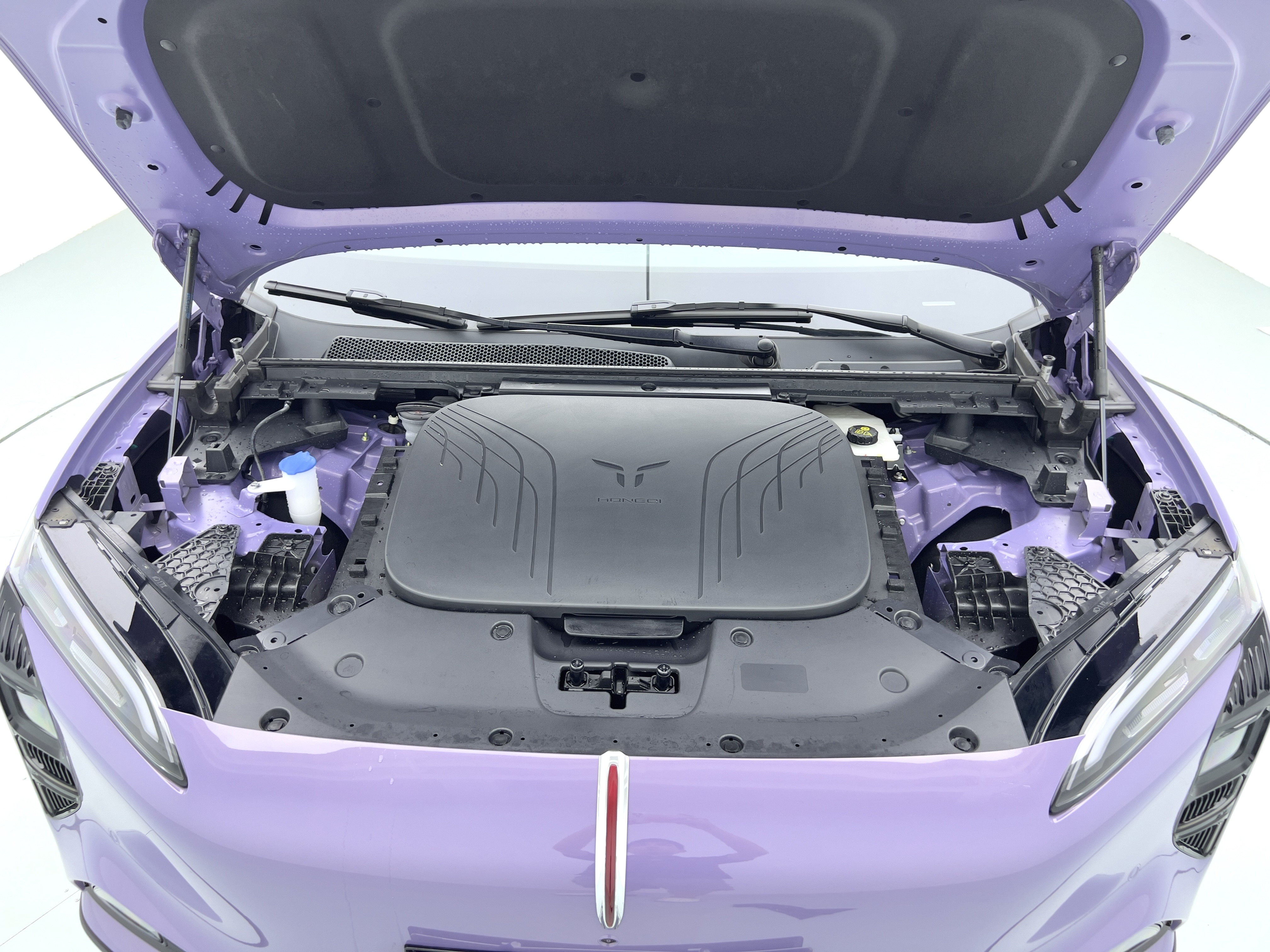 HongQi TianGong 08 2025 car image #20