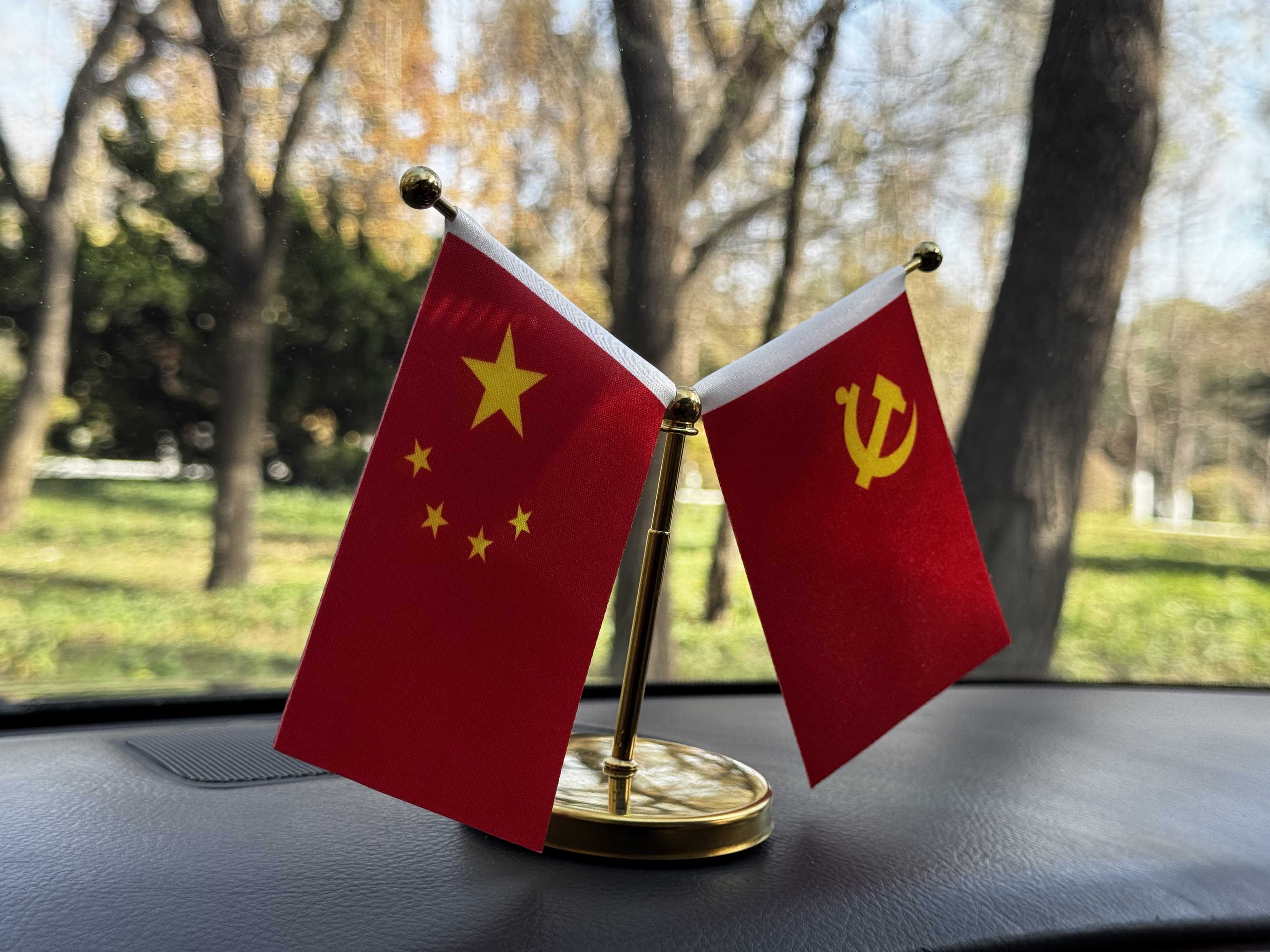 HongQi ShengShi 2009 car image #20