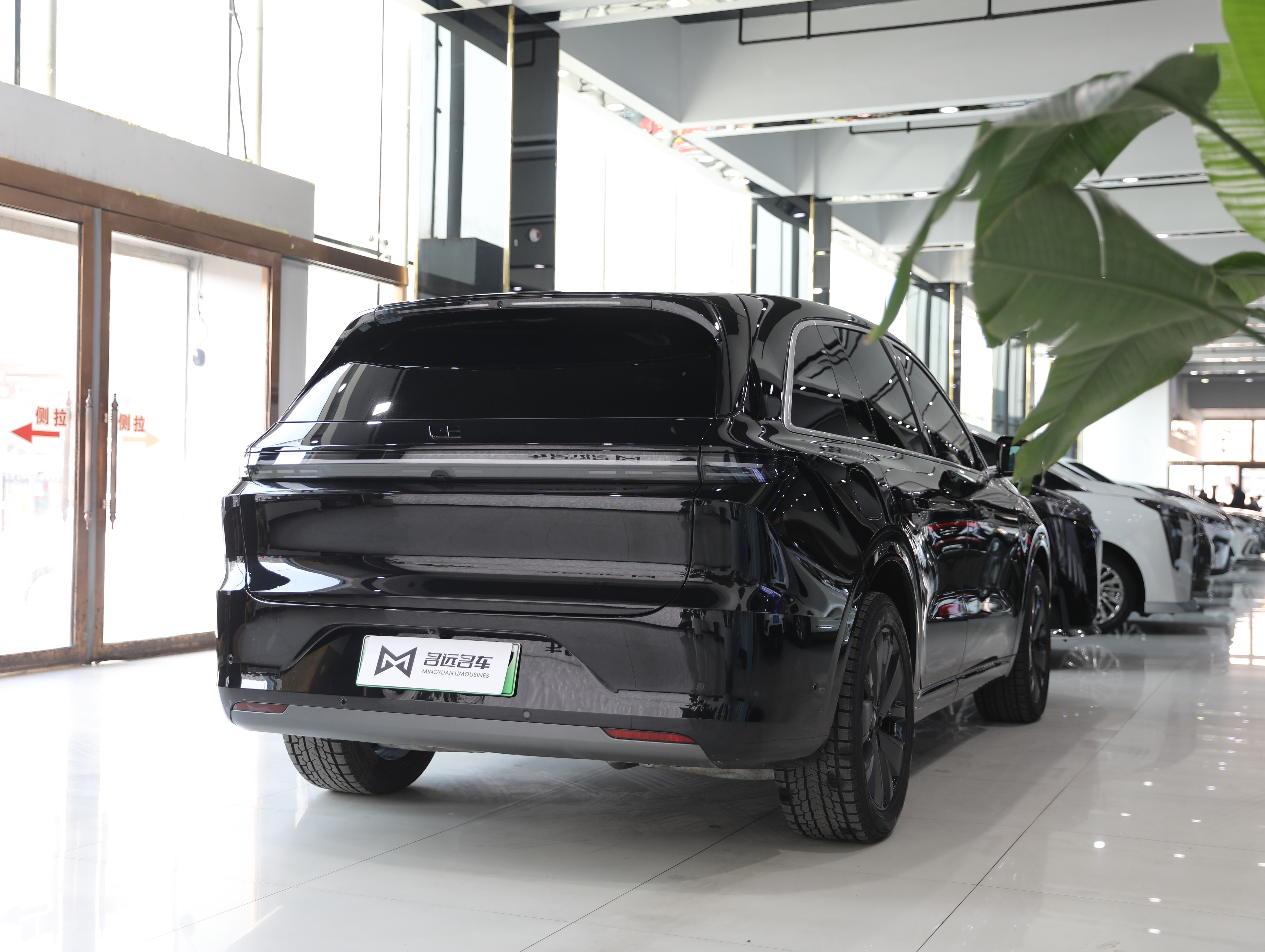 Li L6 2025 صورة سيارة #20