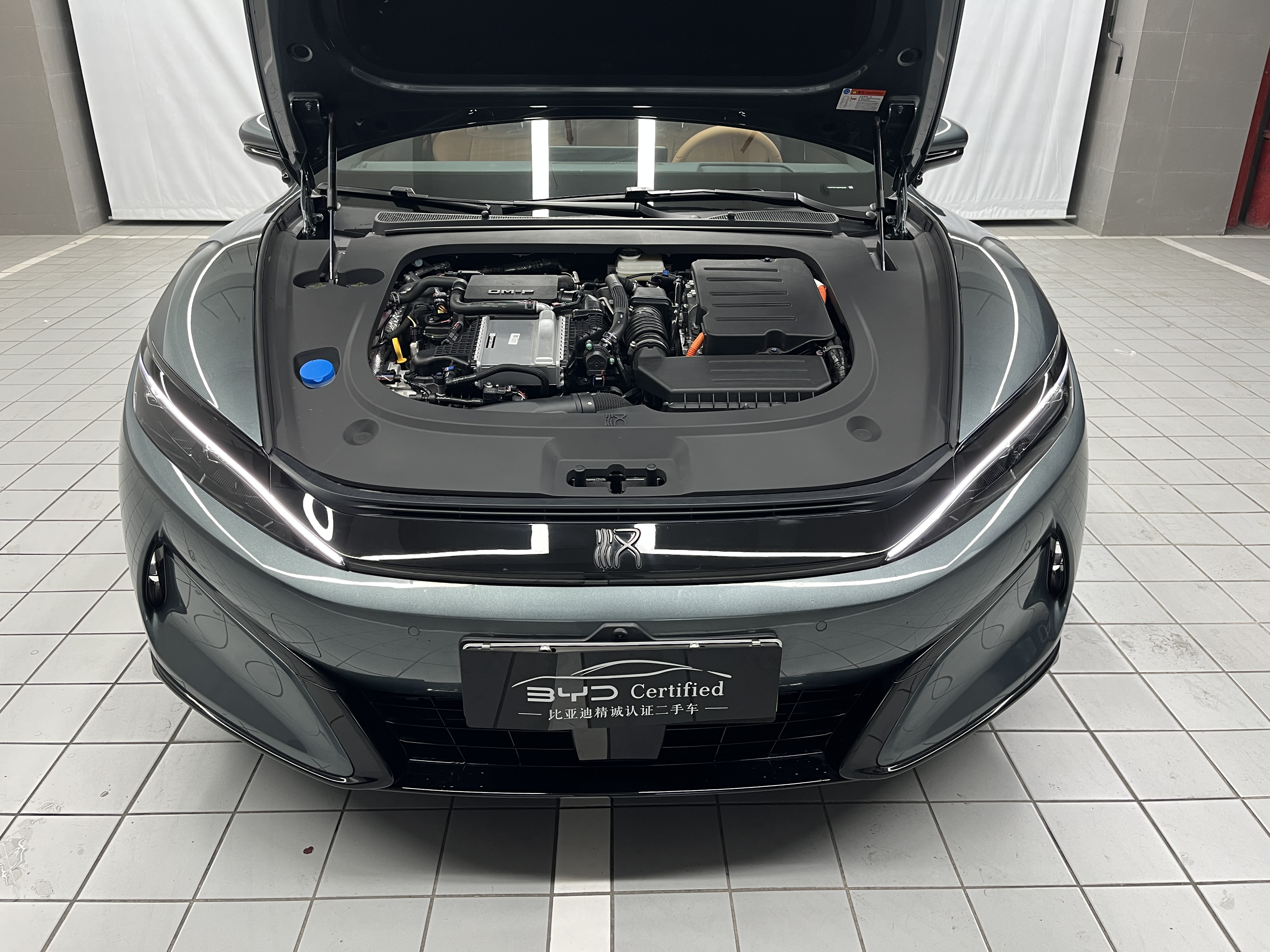 BYD HanL 2025 car image #20