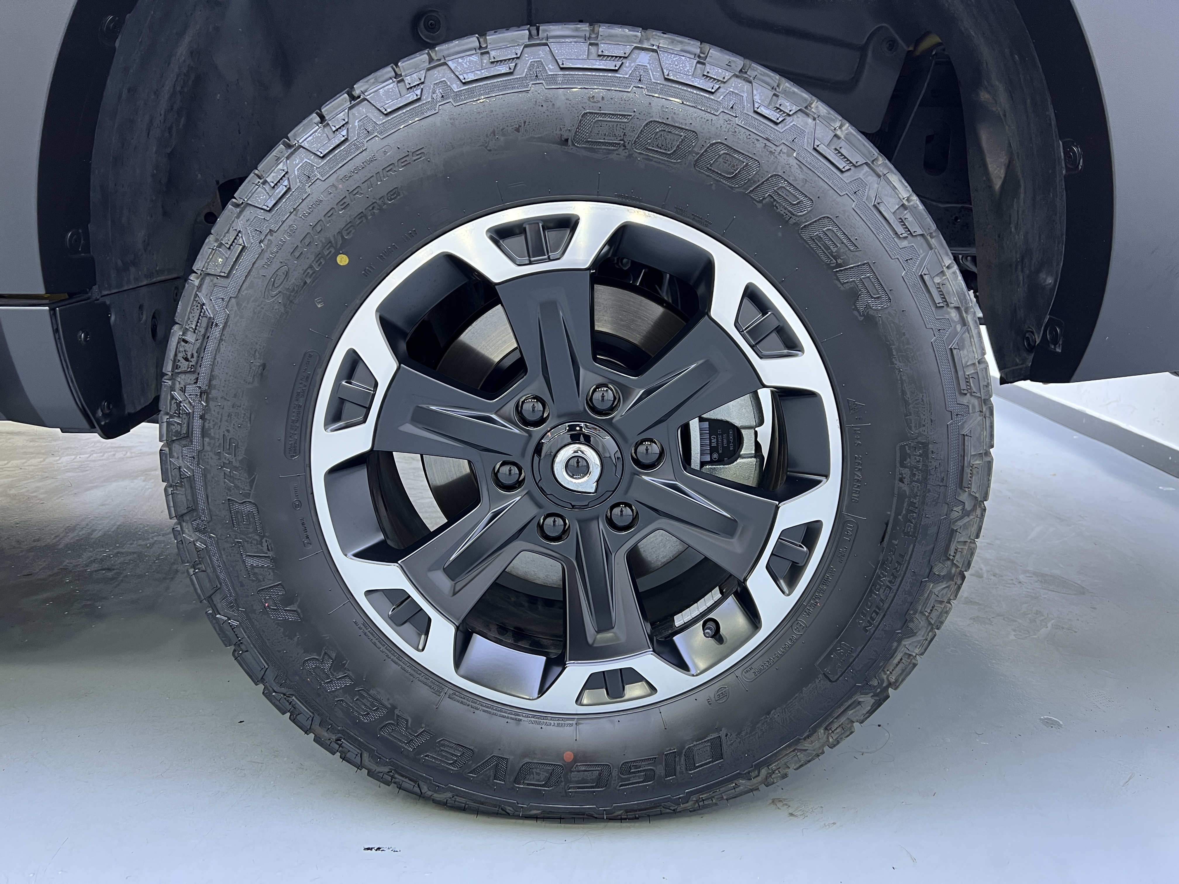 Great Wall Shanhai Pao Hi4-T 2025 car image #20