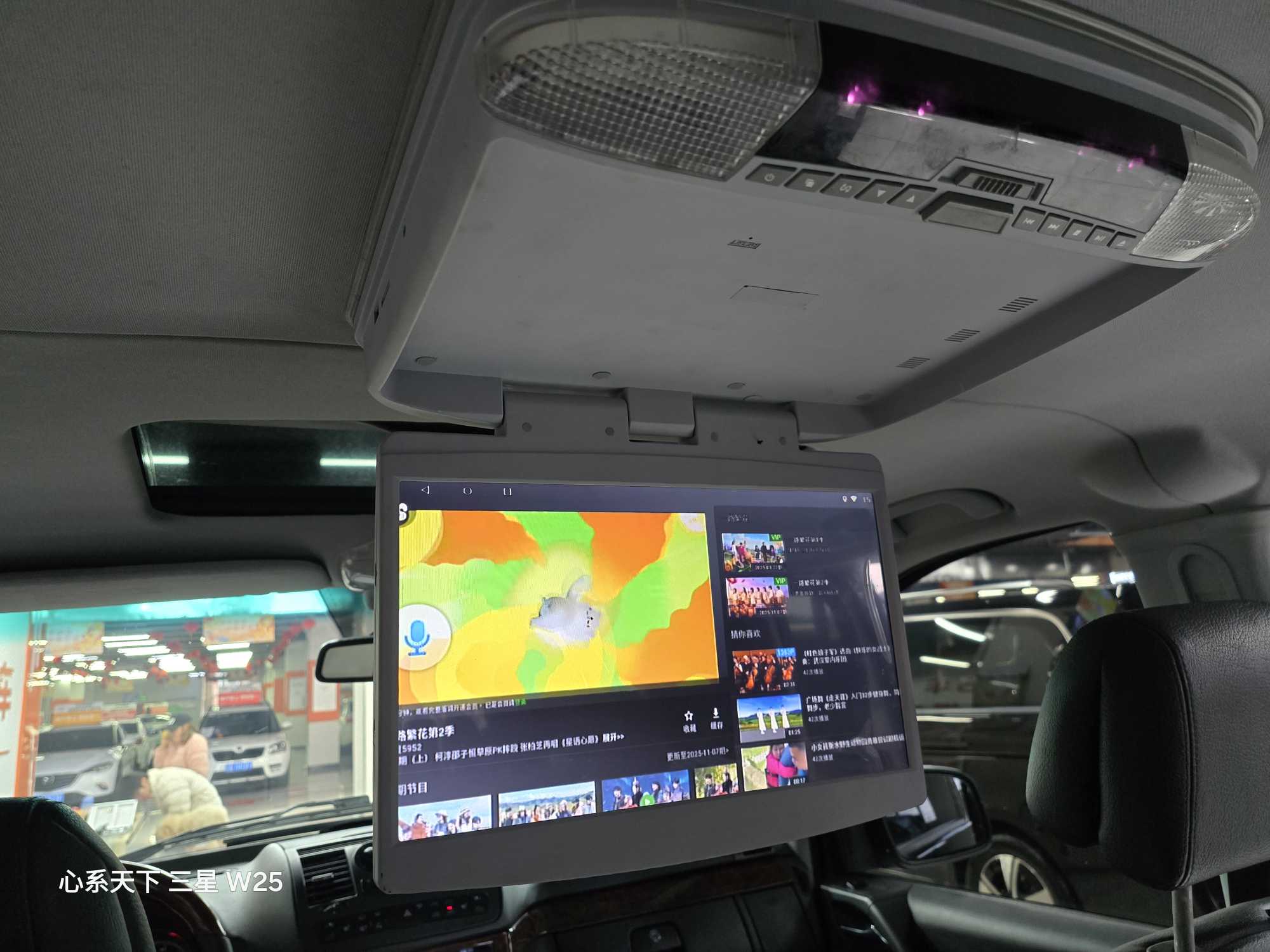 Mercedes-Benz Viano (Imported) 2011 car image #20