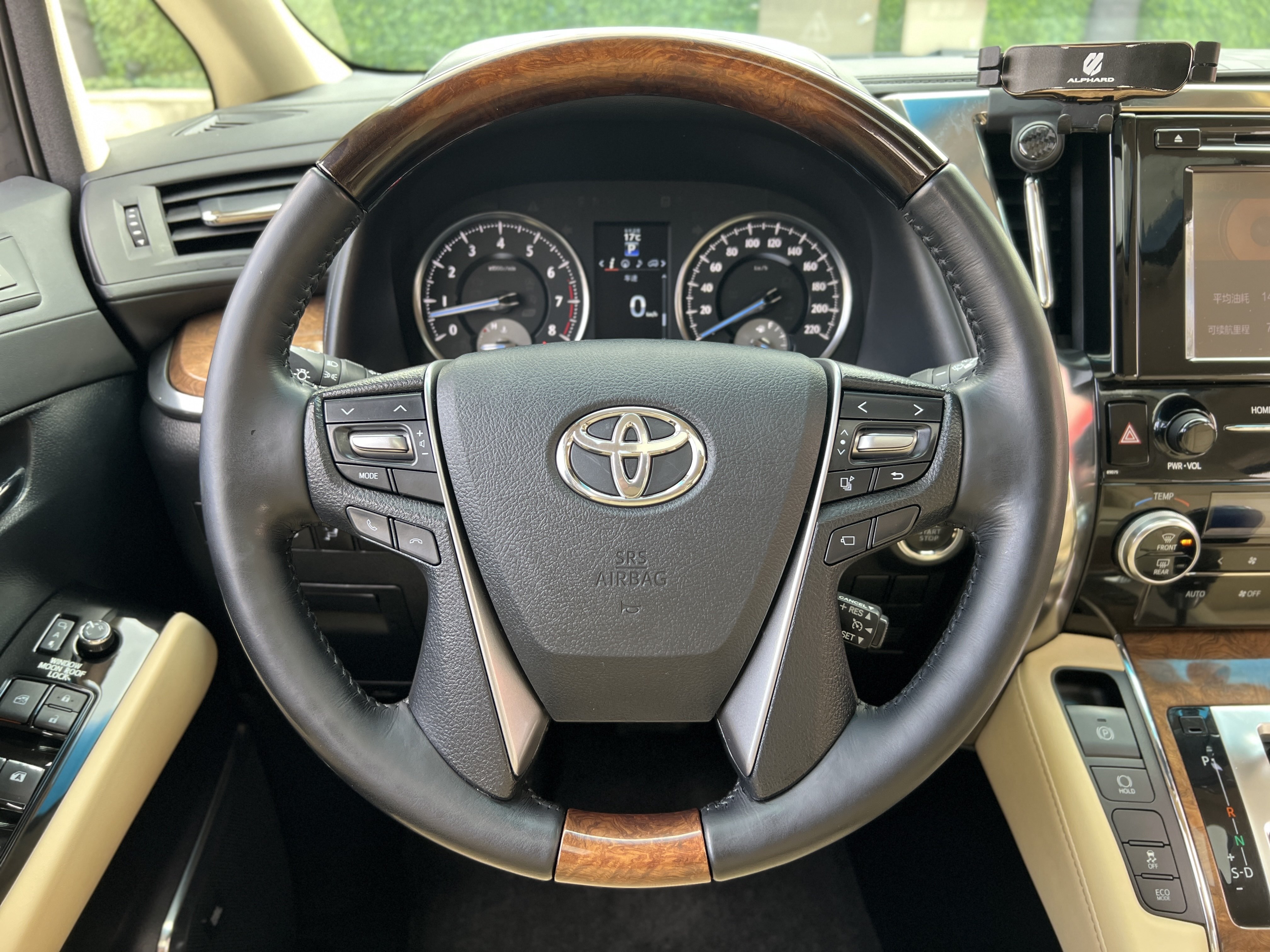 Toyota Alphard 2017 car image #20