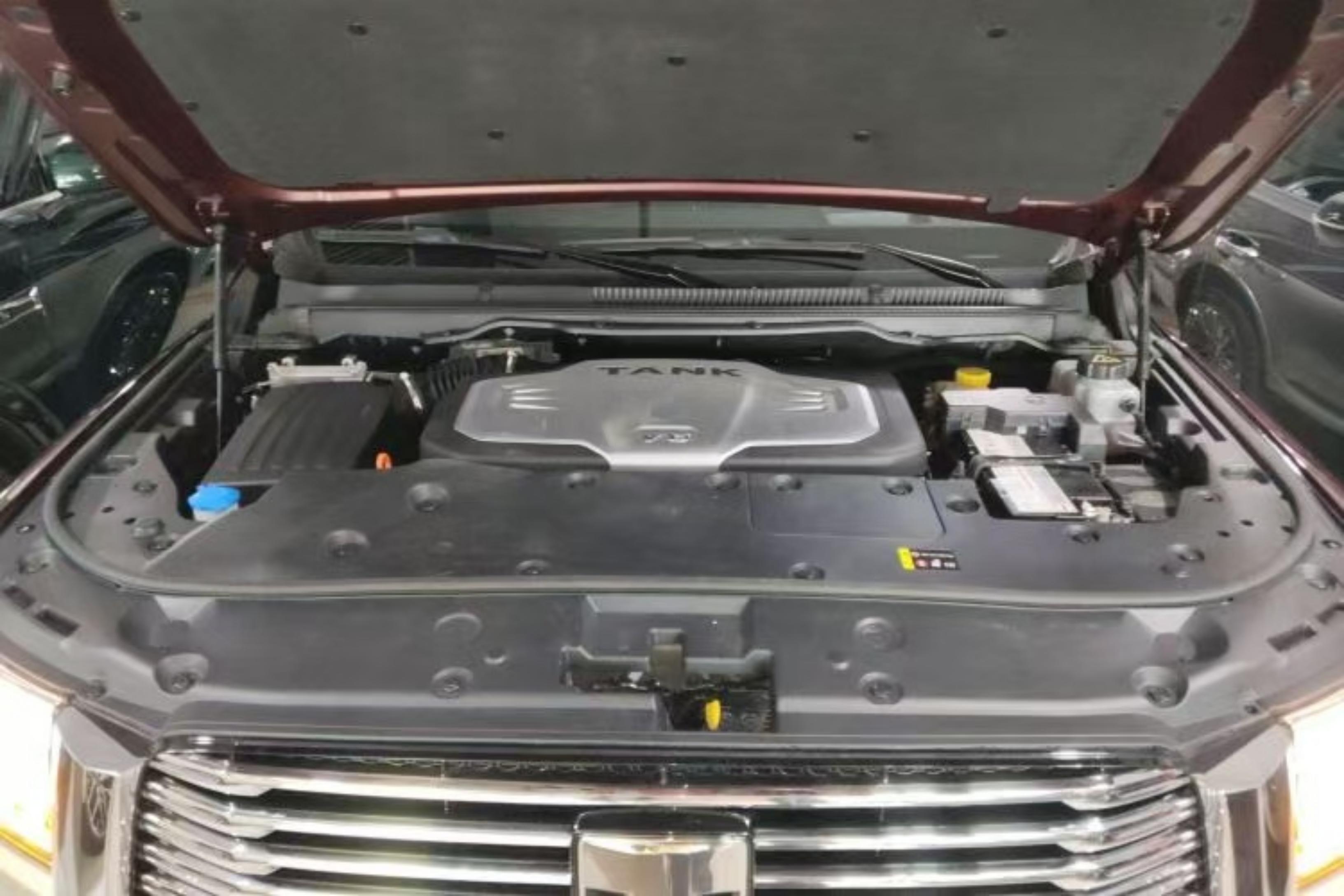 Tank 500 2022 car image #20