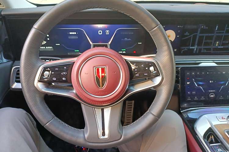 HongQi E-HS9 2023 car image #20