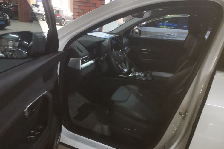 BYD Song Pro New Energy 2020 car image #20