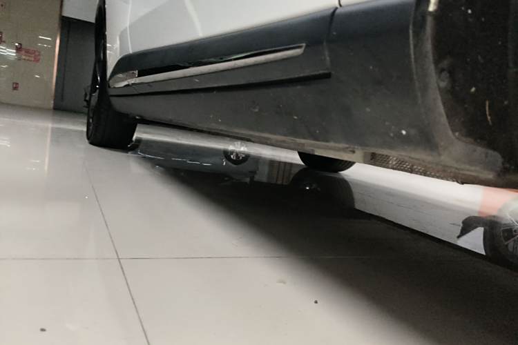 Neta L 2024 imagen de coche #20