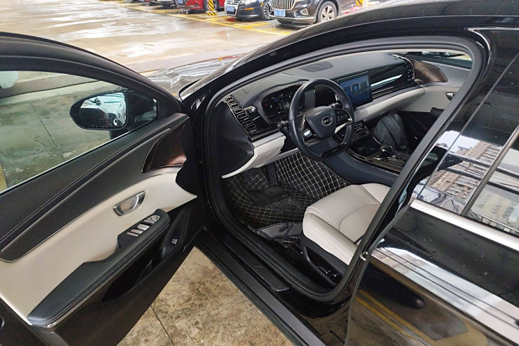 BYD e9 2021 car image #20