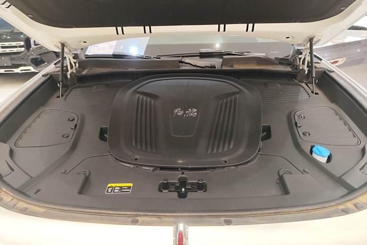 HongQi E-HS9 2022 immagine di auto #20