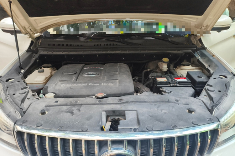 SWM X7 2018 imagen de coche #20