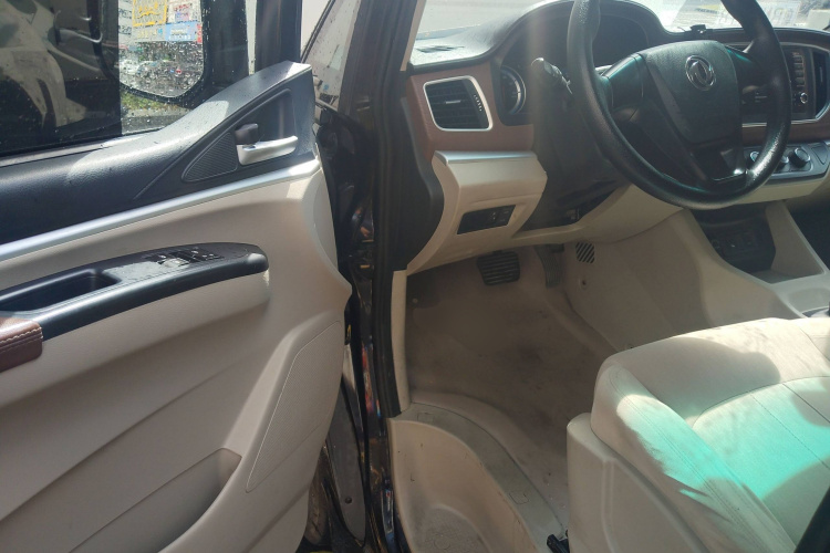 Forthing Lingzhi EV 2020 car image #20