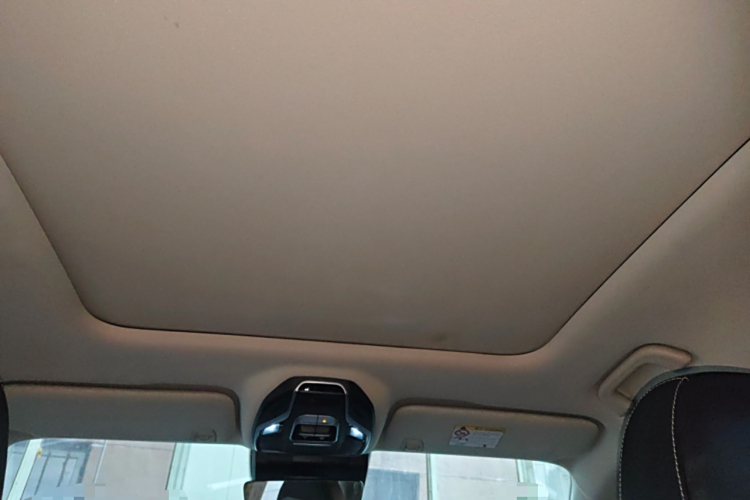 GEELY Tugella S 2021 car image #20