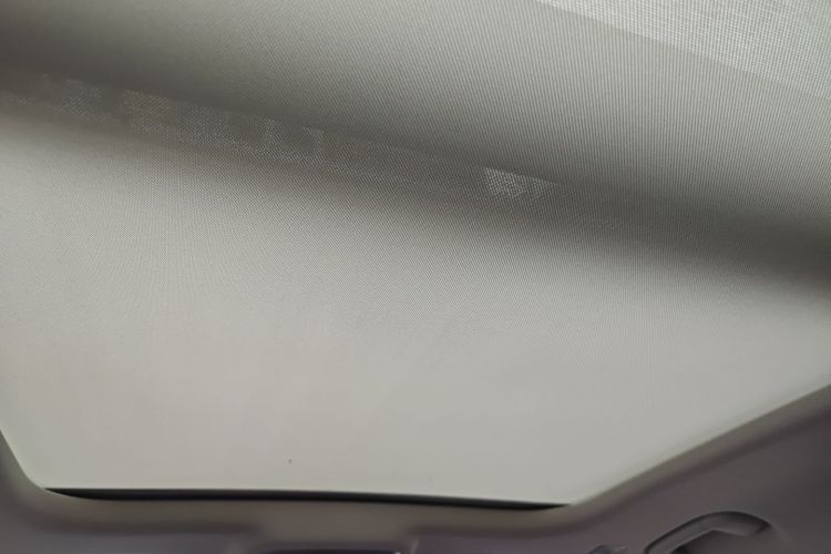 HongQi E-HS9 2022 car image #20