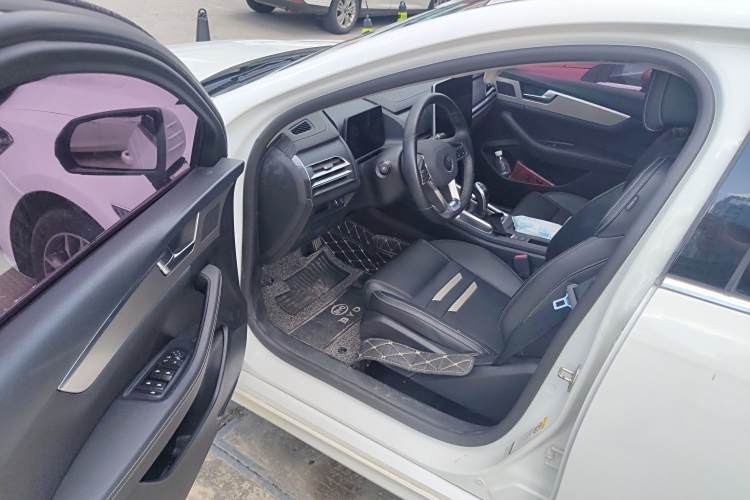 BYD Qin Pro 2019 #20 BYD Qin Pro 2019 car image #20