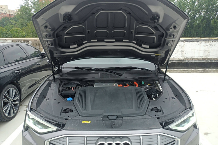 Audi e-tron (Imported) 2019 #20 Audi e-tron (Imported) 2019 car image #20