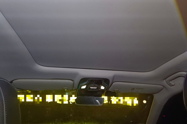 GEELY Tugella New Energy 2019 car image #20