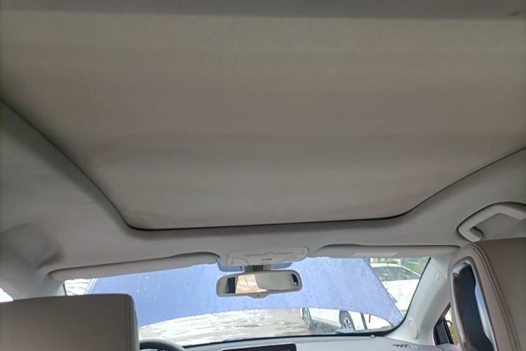 HongQi E-HS3 2019 car image #20