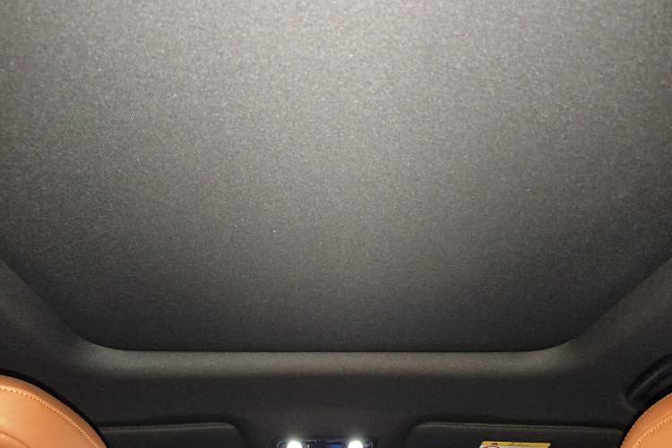 Neta L 2024 imagen de coche #20