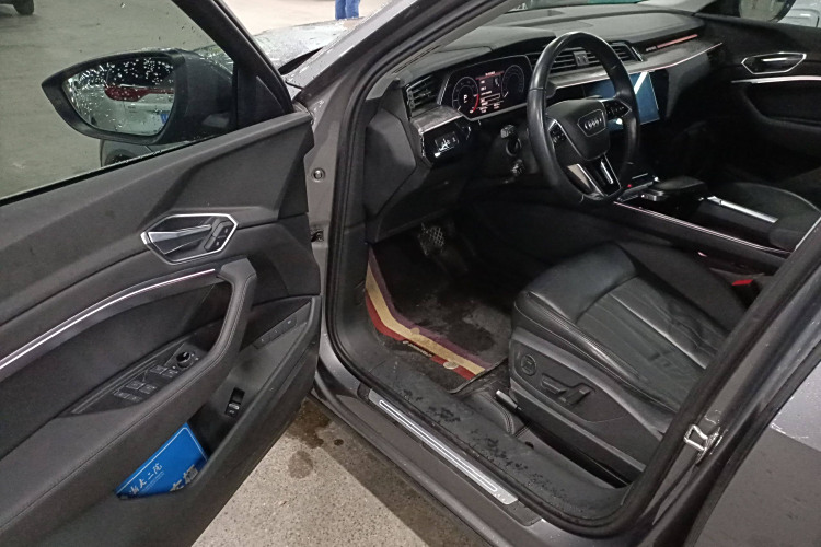 Audi e-tron (Imported) 2020 car image #20