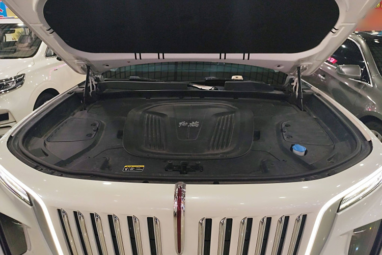 HongQi E-HS9 2021 immagine di auto #20