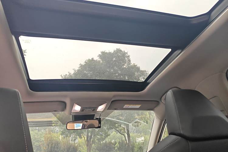 Toyota RAV4 (Imported) 2024 immagine di auto #20