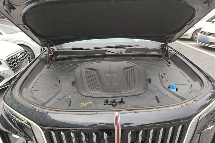 HongQi E-HS9 2023 #20 HongQi E-HS9 2023 car image #20