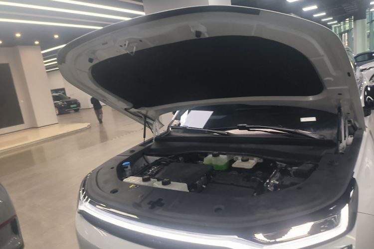 GAC Trumpchi Xiangwang S7 2025 car image #20