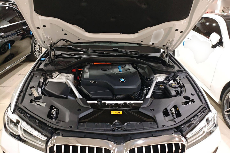 BMW 5 Series New Energy 2021 car image #20