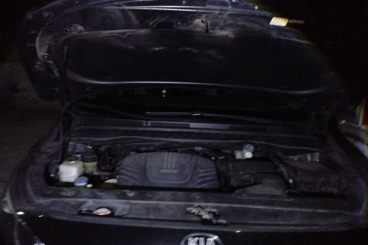 Kia Carnival (Imported) 2016 car image #20