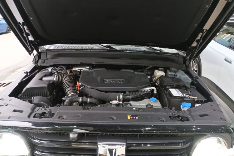 Tank 300 New Energy 2025 car image #20