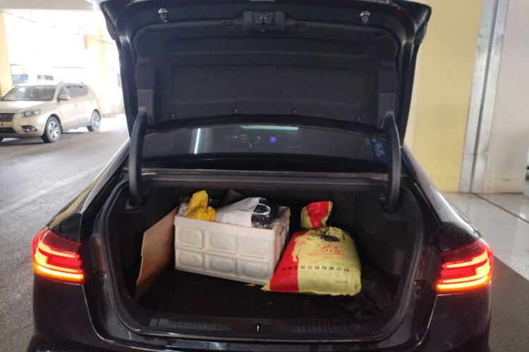 GAC Trumpchi GA8 2020 car image #20