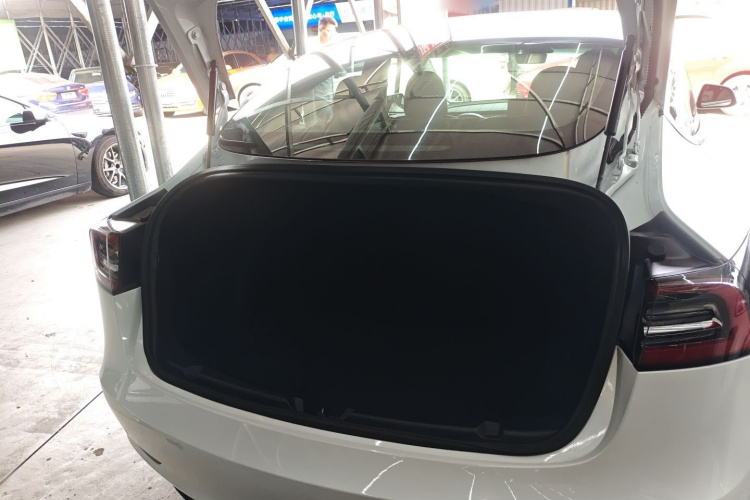 特斯拉 Model 3(进口) 2019 汽车图片 #20