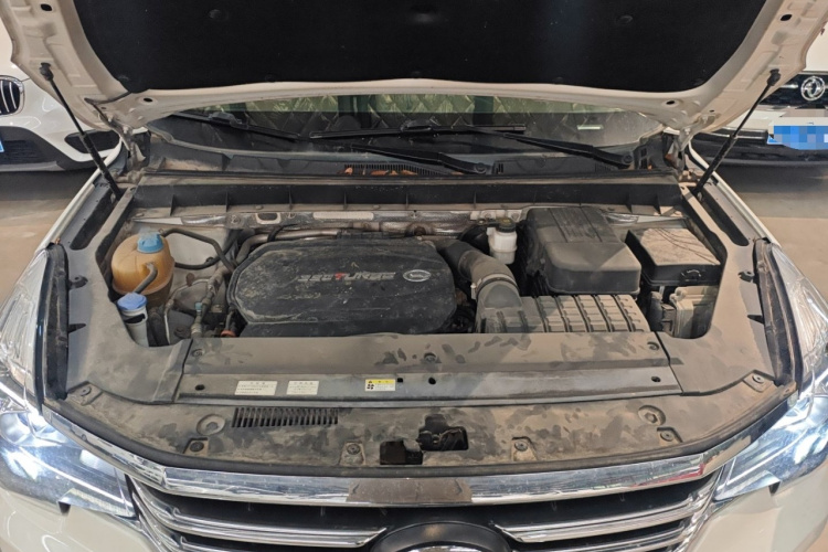 GAC Trumpchi GS7 2020 car image #20